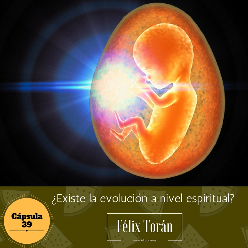 ¿Existe la evolución a nivel espiritual?