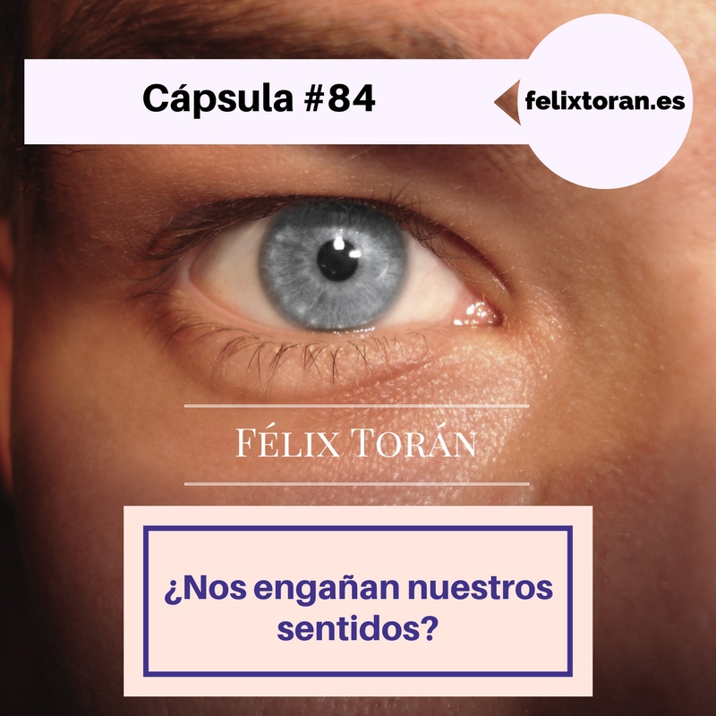 ¿Nos engañan nuestros sentidos?